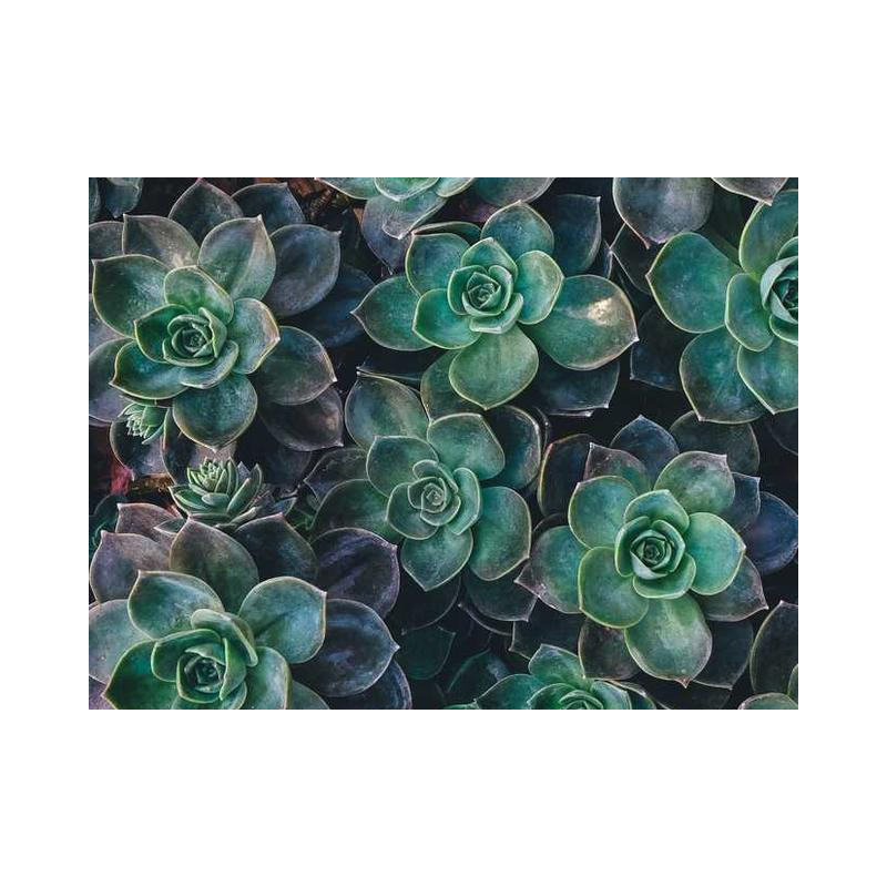 Heavy Duty Copper Plate fr-FR